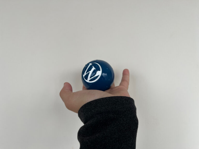 WordPress Blue Ball Wallpaper Collection: Ball in Palm (3)